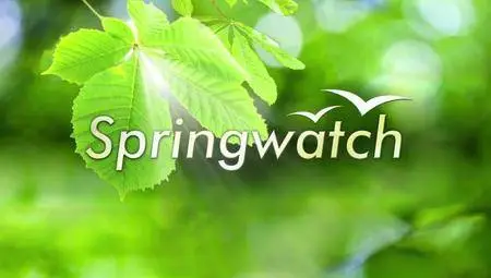 BBC - Springwatch (2016)