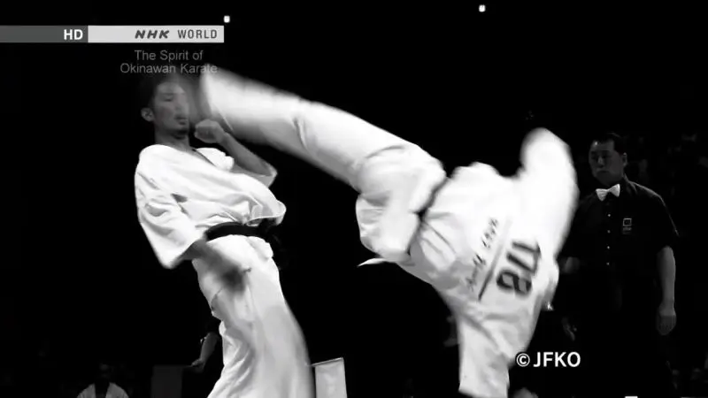 NHK - Tee: The Spirit of Okinawan Karate (2014)