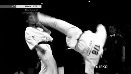 NHK - Tee: The Spirit of Okinawan Karate (2014)