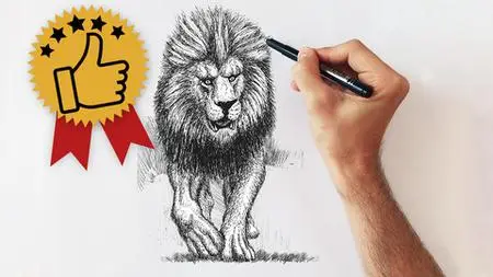 Drawing Academy - Creative Drawing, Illustration & Sketching