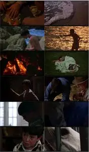 The Black Stallion (1979)