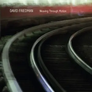 David Friedman - Weaving Through Motion (2014)