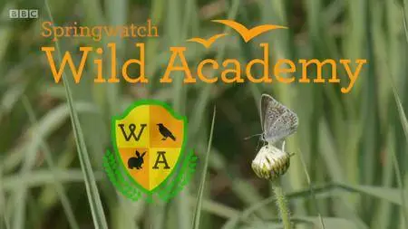 BBC - Wild Academy: Springwatch (2018)