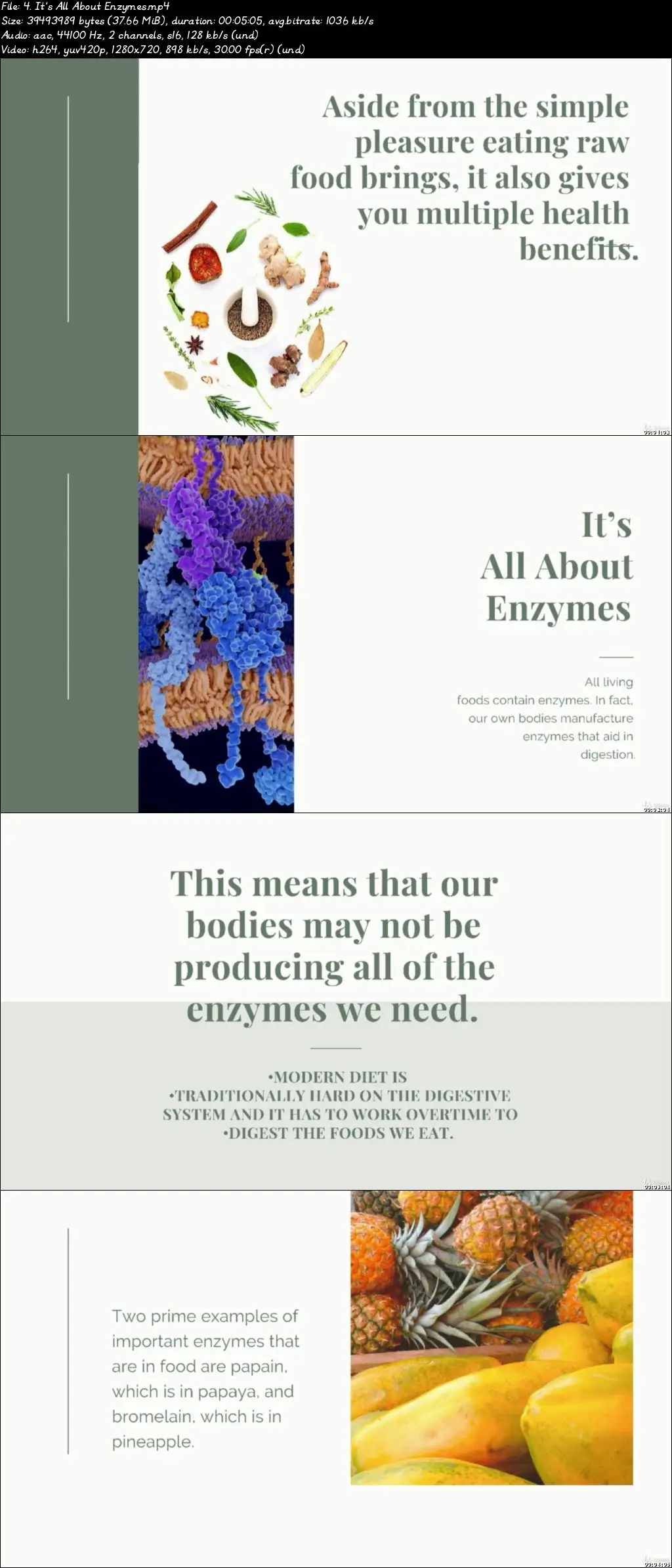 Raw Food Diet for Health and Longevity