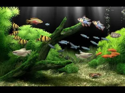 Dream Aquarium 1.700 [ FULL ] [ REPOST ]