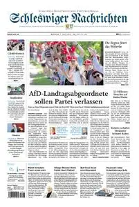 Schleswiger Nachrichten - 01. Juli 2019