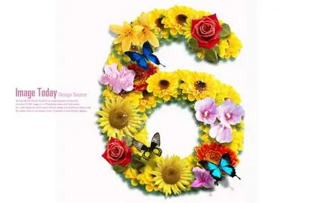 Stock PSD Flower letter Number 6