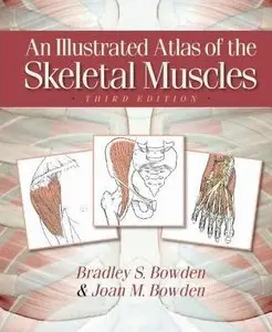 An Illustrated Atlas of the Skeletal Muscles, 3rd Edition (repost)
