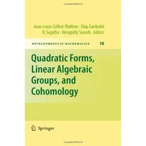 Quadratic Forms, Linear Algebraic Groups, and Cohomology (repost)