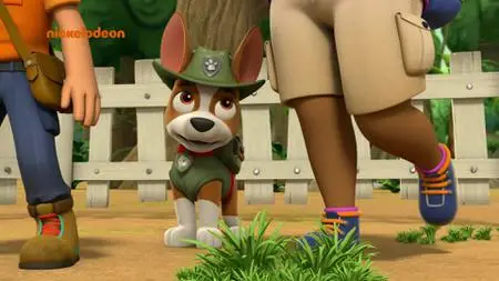 PAW Patrol S05E10