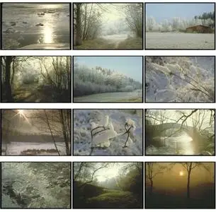 Corel Professional Photos - Ice And Frost