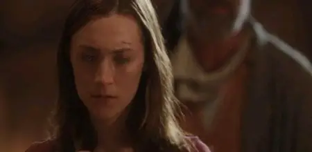 The Host (2013)