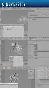 Cineversity (Cinema 4D): Lessons for Thinking Particles