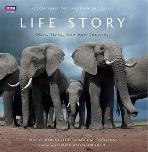 Life Story (2014)
