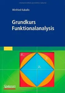 Grundkurs Funktionalanalysis (Repost)