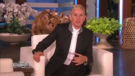 The Ellen DeGeneres Show S16E156