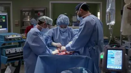 Grey's Anatomy S15E20