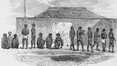Curiosity TV - Bright Now: Last American Slave Ship (2020)