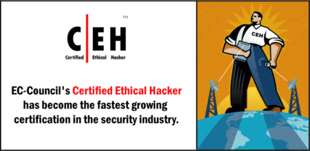 Certified Ethical Hacker Certification Training Videos 9 CDs (Repost)