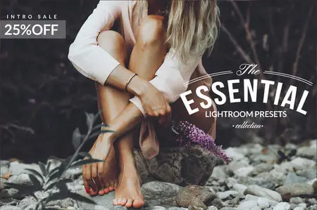 CreativeMarket - The Essential Collection Lr Presets