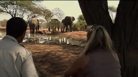 Karina - Wild on Safari - S01E08