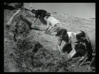 Our Daily Bread (1934-1940)