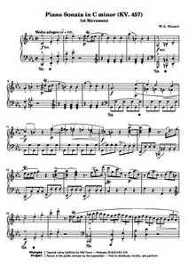 MozartWA - Piano Sonata in C Minor - KV. 457 (1st Movement)