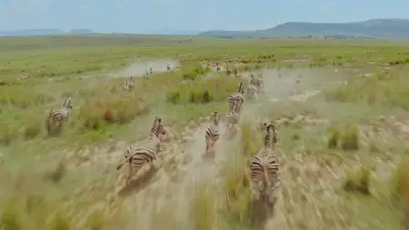 ZED - Prehistoric Worlds (2020)