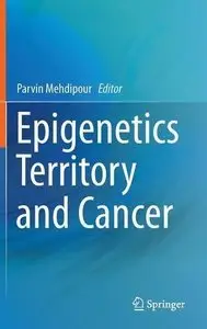 Epigenetics Territory and Cancer (Repost)