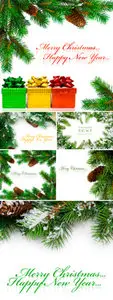 Stock Photo - Christmas Tree Branches