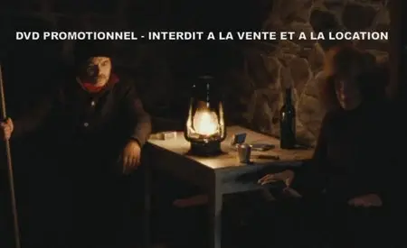 Le Voyage aux Pyrénées (2008)