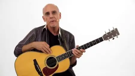 Truefire - Larry Carlton's 335 Hits [repost]