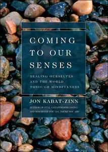 Coming to Our Senses: Healing Ourselves and the World Through Mindfulness (repost)