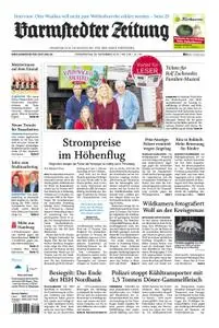 Barmstedter Zeitung - 29. November 2018