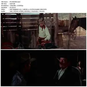 The Texican (1966)