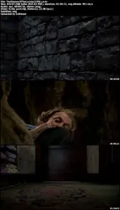 The Silence Of The Lambs (1991)