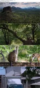 Monkey Kingdom (2015)