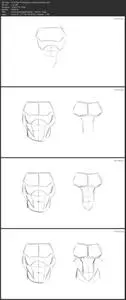 Dynamic Anatomy for Artists - Muscles of the Torso