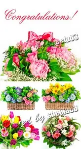 Stock Photo - Flowers Bouquet 2