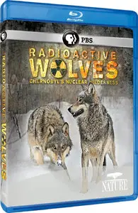 PBS - Nature: Radioactive Wolves (2011)