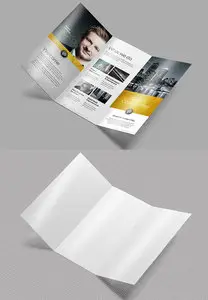 Tri Fold Brochure Mock-Up 2