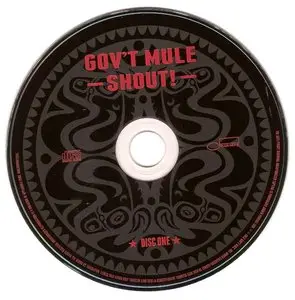 Gov't Mule - Shout! (2013)