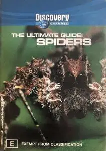 DC The Ultimate Guide - Spiders (2001)