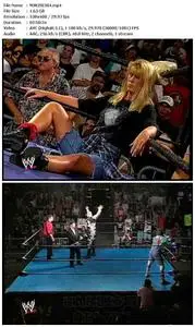 The Rise & Fall of ECW (2004)