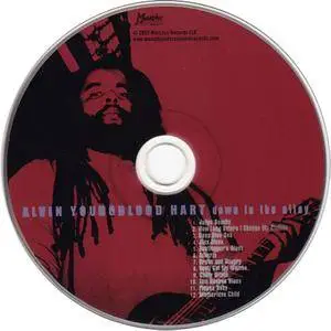 Alvin Youngblood Hart - Down in the Alley (2002)