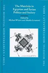 The Mamluks in Egyptian and Syrian Politics and Society (Medieval Mediterranean) (repost)