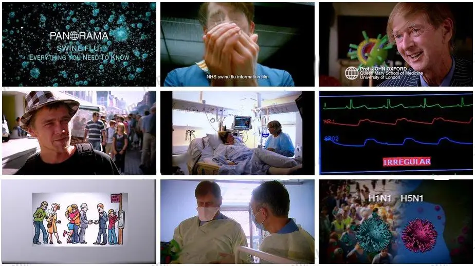 Panorama - Swine Flu: Everything You Need To Know (2009)