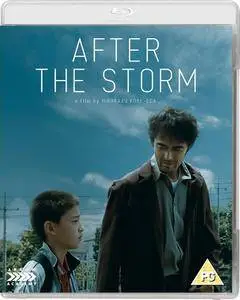 After the Storm / Umi yori mo mada fukaku (2016)