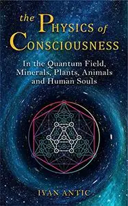 The Physics of Consciousness