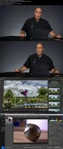 Creating Presets, LUTs, and Profiles for Photography